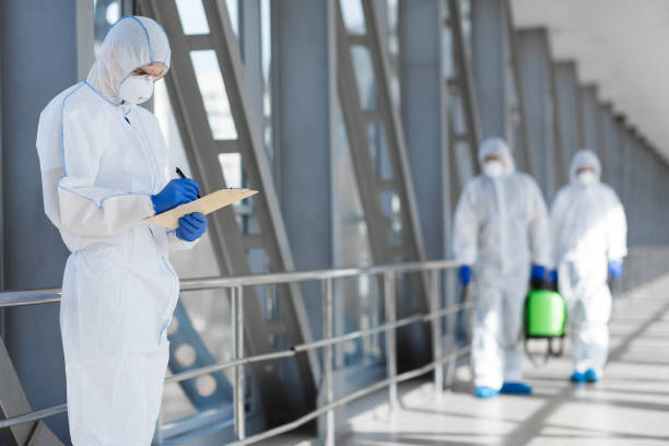 Best Mold Damage Restoration  in Port Monmouth, NJ
