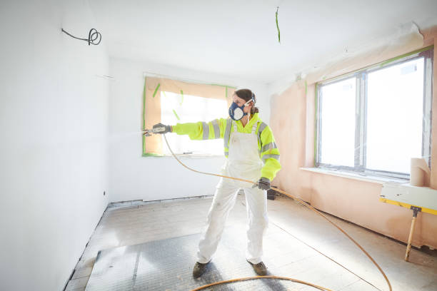 Best Emergency Mold Remediation  in Port Monmouth, NJ